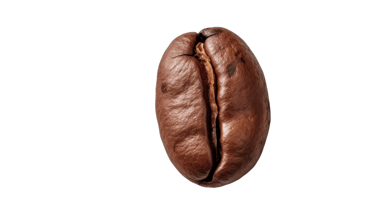 Coffee bean